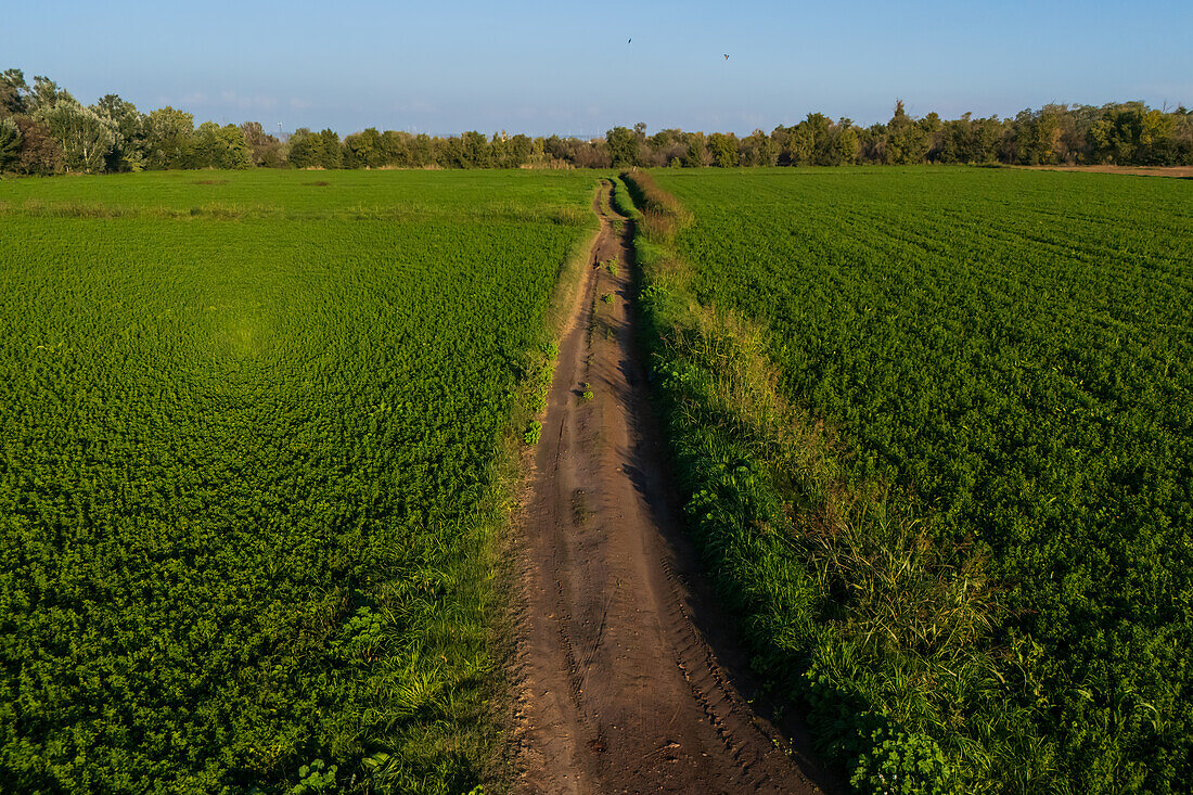 Aerial view of the fields in La Alfranca area in Zaragoza, Spain