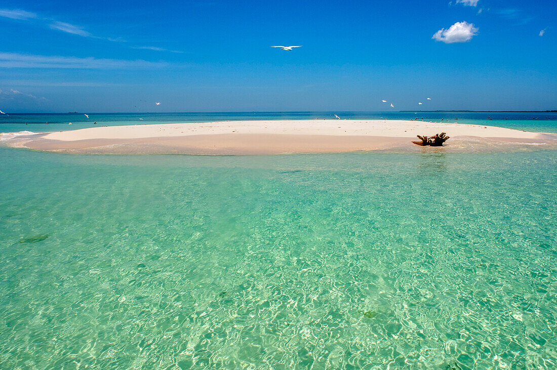 Isolated island uninhabited white sand beach, Île-à-Vache, Sud Province, Haiti