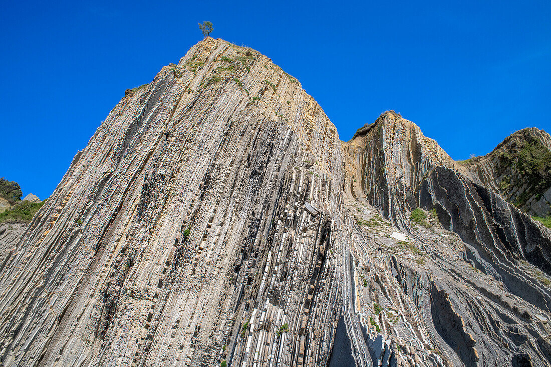 Flysch de Zumaia Flysch, Sedimentgesteinsformationen, Geopark Baskische Küste, Zumaia, Gipuzkoa, Baskenland, Spanien