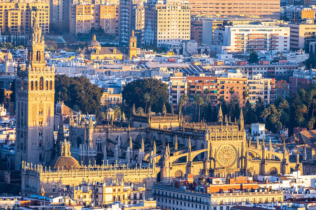 Atemberaubende Luftaufnahme des Giralda-Turms und der Kathedrale von Sevilla mit pulsierendem Stadtbild bei Sonnenuntergang, das das Kulturerbe beleuchtet.