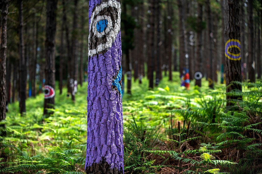 Oma Forest is a work of art by Agustin Ibarrola, a Basque sculptor and painter, in the natural reserve of Urdaibai, Oma, Vizcaya, Basque country Euskadi, Spain