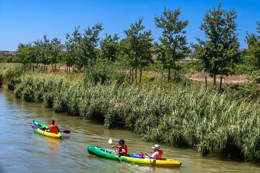 Kajakfahren auf dem Canal du Midi in Trèbes, Frankreich. Boot im Canal du Midi in der Nähe von Carcassonne Aude Südfrankreich Südliche Wasserstraße Wasserstraßen Urlauber stehen Schlange für eine Bootsfahrt auf dem Fluss, Frankreich, Europa