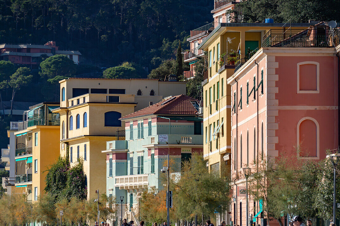 Bunte Gebäude in der Fegina oder Neustadt von Monterosso al Mare, Cinque Terre, Italien.