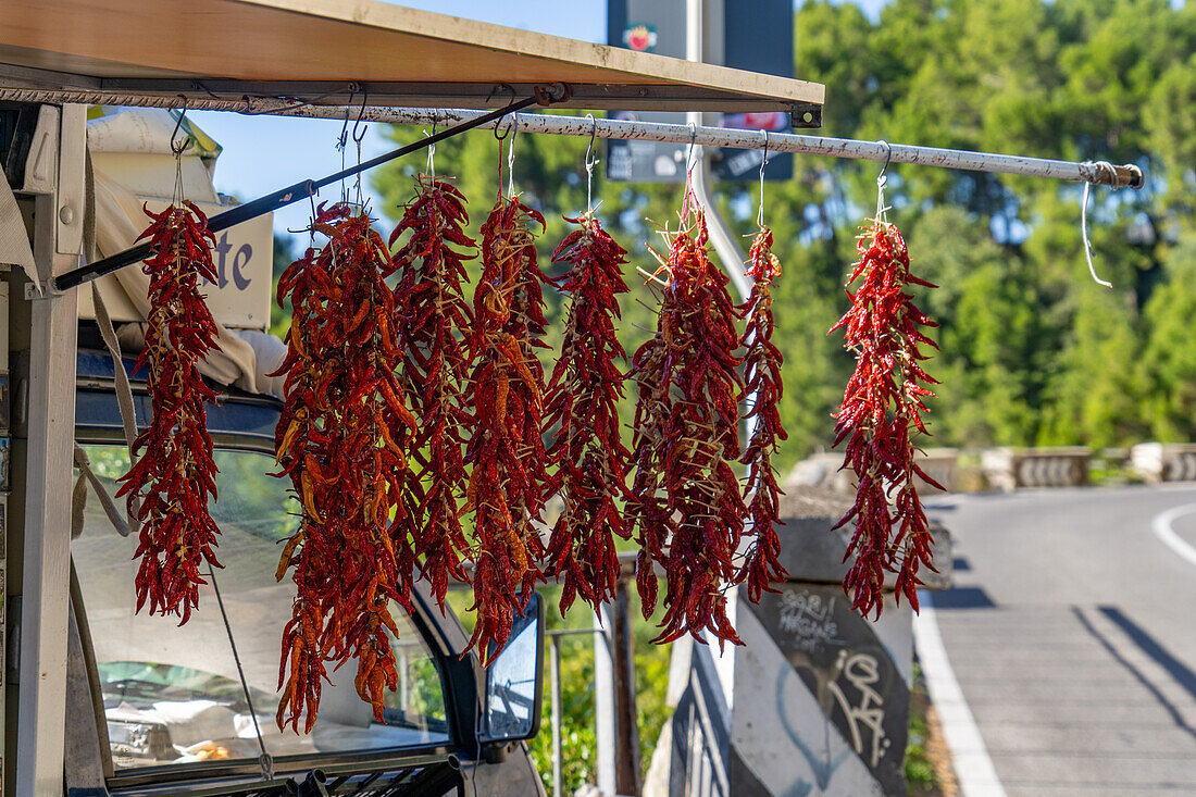 Strands of dried chili peppers for sale by a roadside vendor on the Amalfi Coast road in Italy.