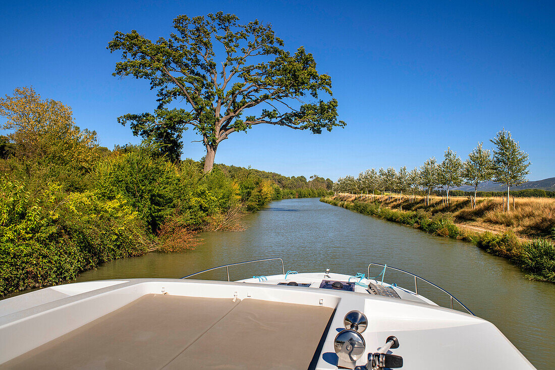 Big tree in the Canal du Midi near Trèbes South of France southern waterway waterways holidaymakers queue for a boat trip on the river, France, Europe