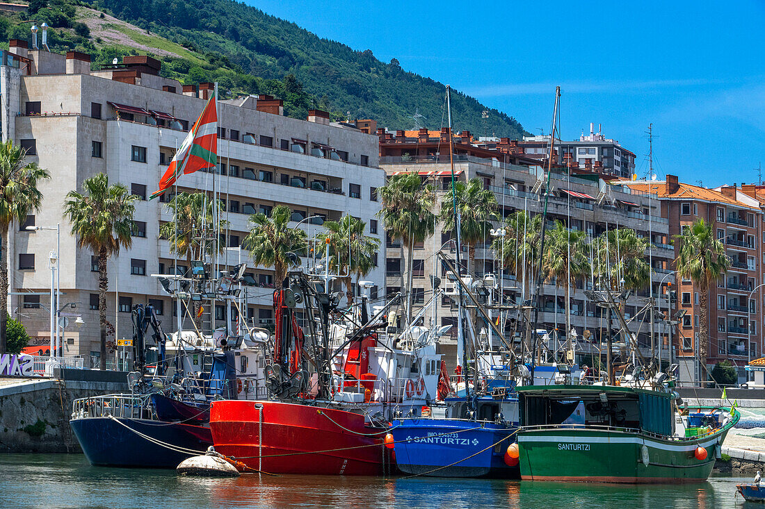 Fischerboote im Hafen von Santurce Santurtzi, Bizkaia, Provinz Bilbao, Baskenland, Euskadi, Spanien.