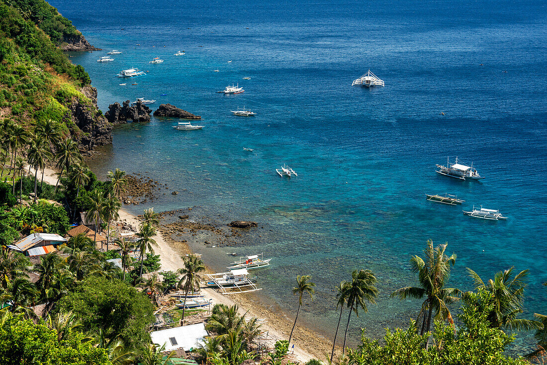 Felsige Küste der Insel Apo, Dauin, Negros Oriental, Philippinen.