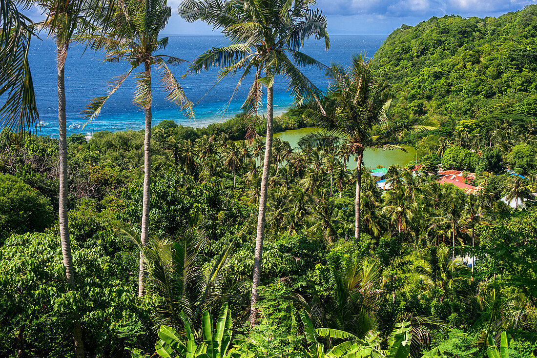 Inside lagoon and palm trees in Apo Island rocky coast, Dauin, Negros Oriental, Philippines.