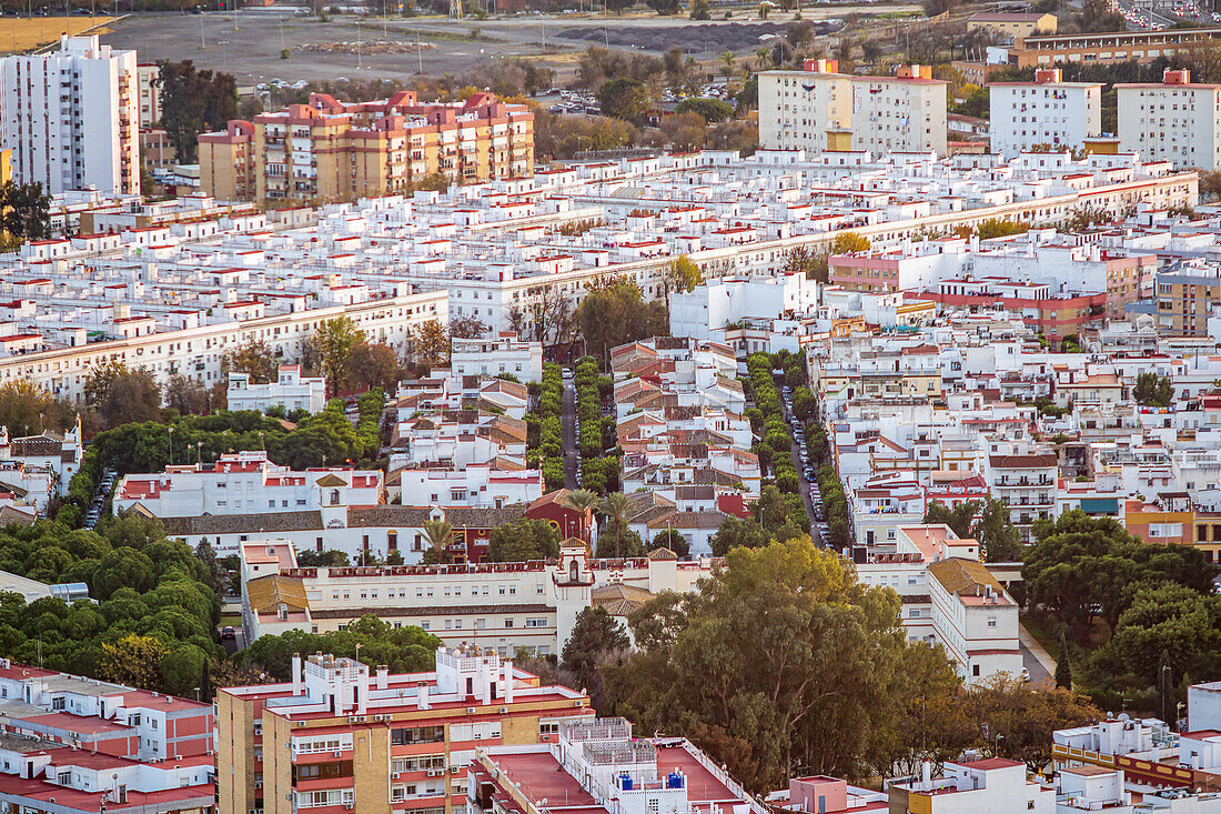 Explore the dense layout of El Tardon Triana, a social housing neighborhood in Seville, Spain, built in the 1950s.