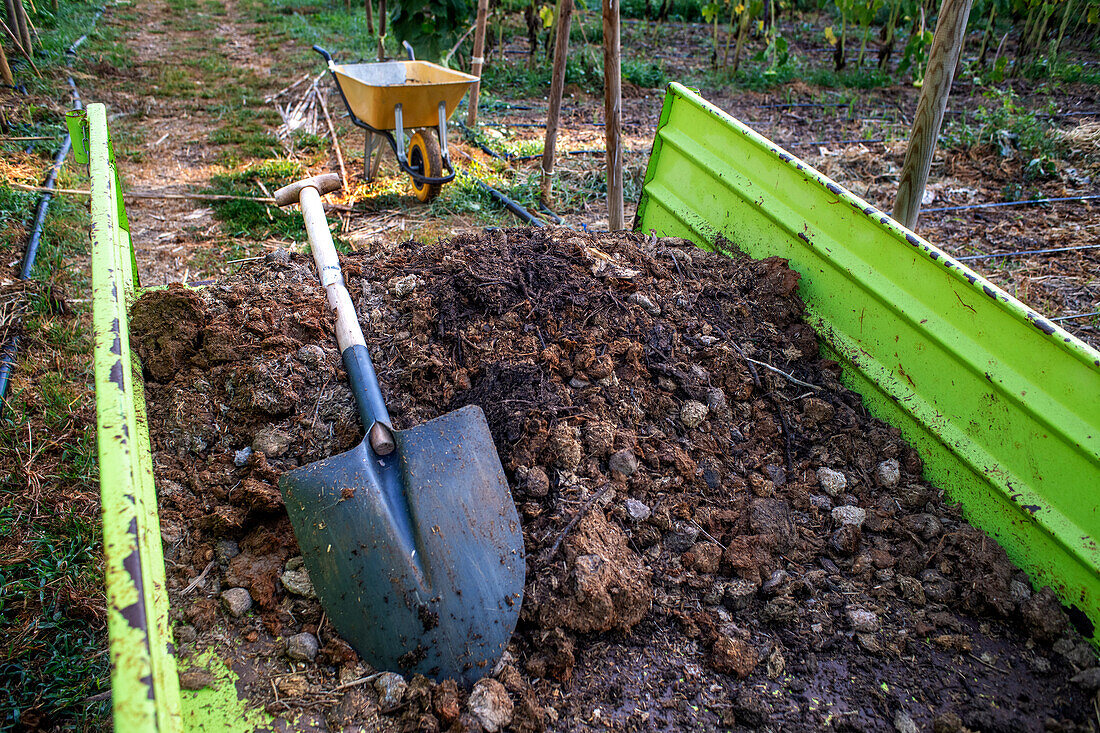 Felder mit regenerativer Landwirtschaft in San Pol de Mar, Ferrer Sustainability Foundation, Barcelona, Spanien, Europa. Die Ferrer Sustainability Foundation ist eine gemeinnützige Organisation, deren Ziel es ist, Leben zu verändern und durch sozialen Zusammenhalt und Umweltschutz auf eine gerechtere und fairere Gesellschaft hinzuarbeiten. Wir führen unsere Arbeit durch zwei Hauptprojekte durch: Ferrer for Food und Green for Good, mit denen wir die größtmögliche Wirkung zum Wohle der Menschen und des Planeten erzielen wollen.