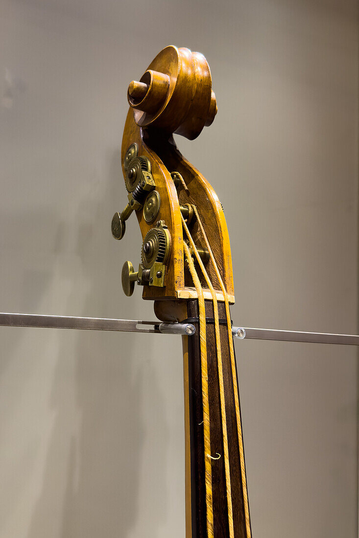 Detail of the peg box and scross of a three-string double bass in the Accademia Gallery in Florence, Italy.