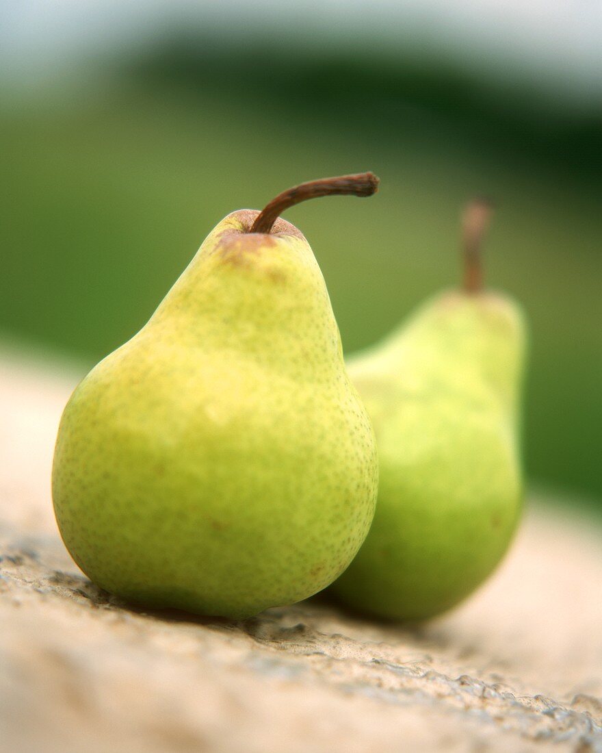 Two pears on stone background (outdoors)