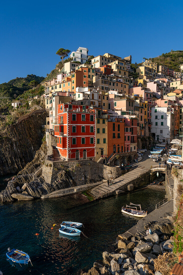 Bunte Gebäude mit Blick auf den Hafen in Riomaggiore, Cinque Terre, Italien.