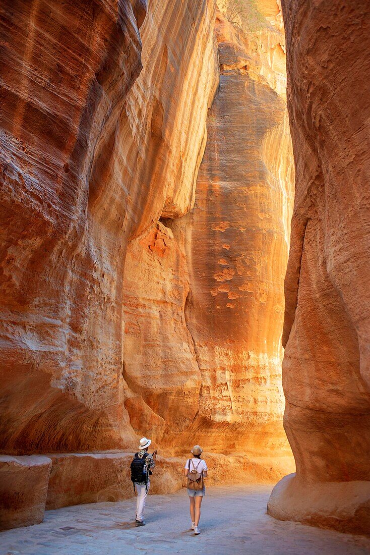 Touristen im Siq, Petra, UNESCO-Welterbestätte, Jordanien. Äußerer Siq Gelber Canyon Morgenwanderung zum Eingang in Petra Jordanien Petra Jordanien. Bunte Gelb-Rosa-Schlucht wird rosarot, wenn die Sonne untergeht