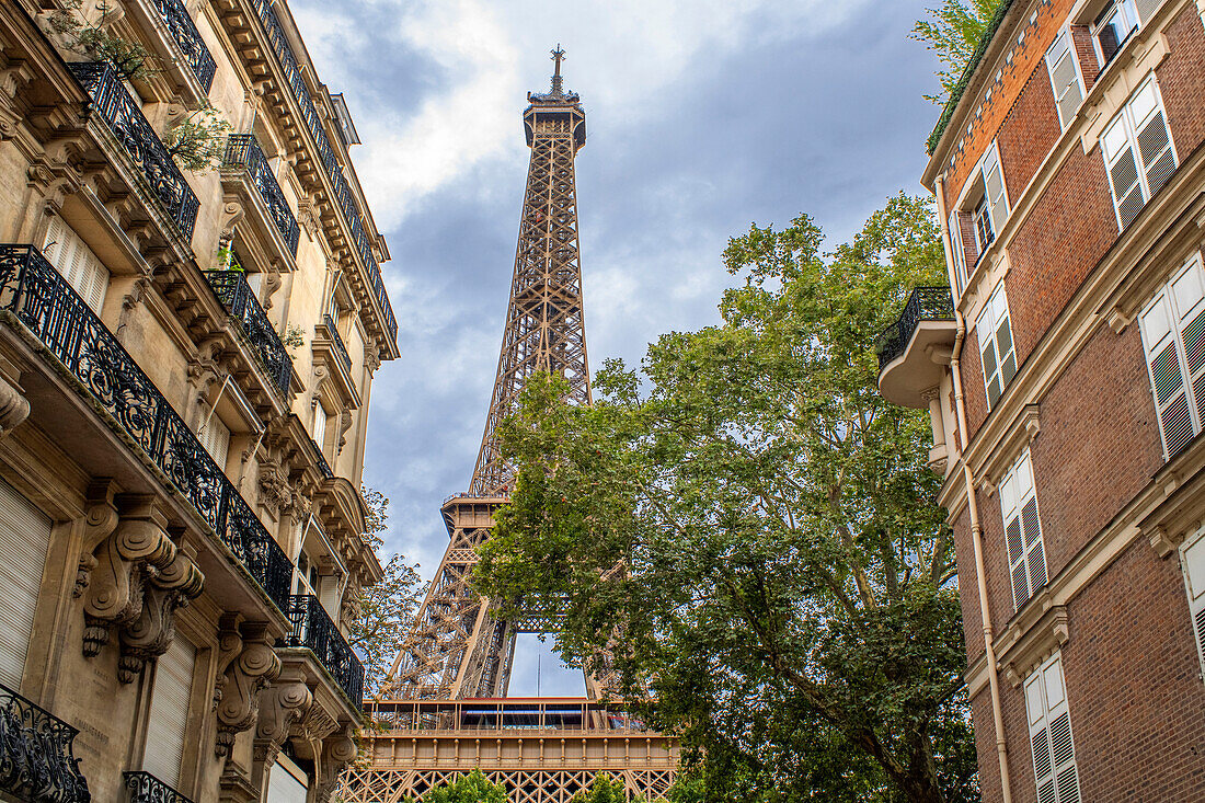 Eiffel Tower seen from Rue de l´Universite, Paris, Île-de-France, France