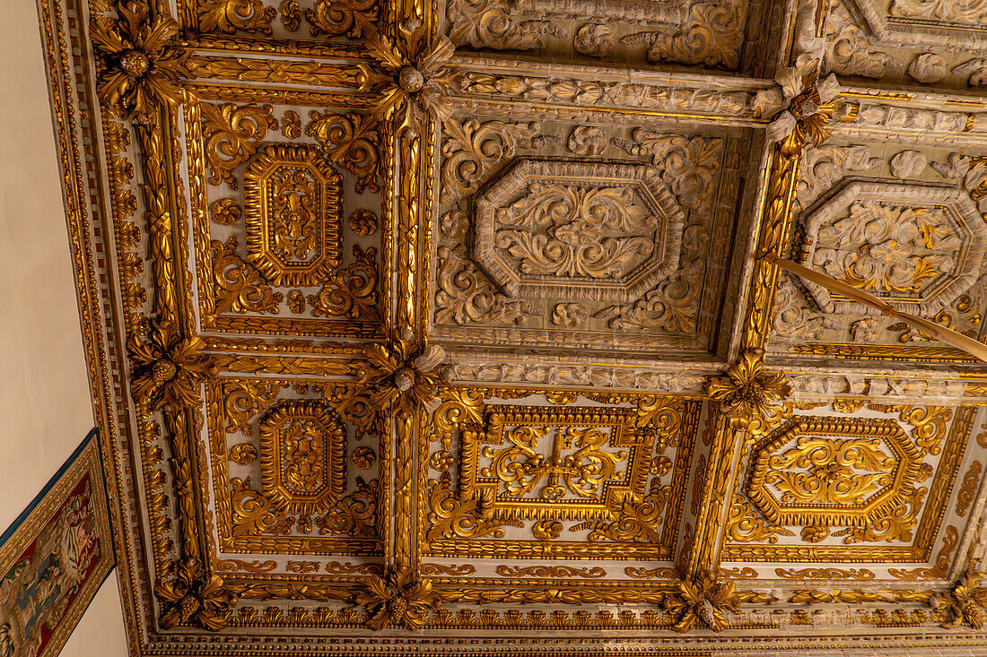 Die kunstvoll geschnitzte und vergoldete Decke des Salons von Karl VIII. im Palazzo Medici Riccardi, Florenz, Italien.