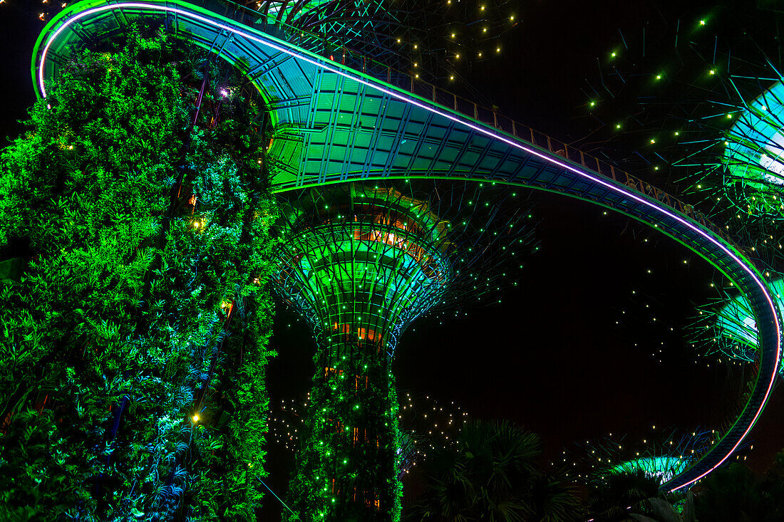 Light and music show in Gardens by the Bay park Supertrees elevated walkway skyway between colourful lit Super Trees, Gardens by the Bay, Singapore