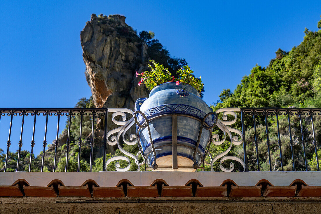 A potted plant in a large, colorful ceramic pot at a ceramic shop on the Amalfi Coast of Italy.