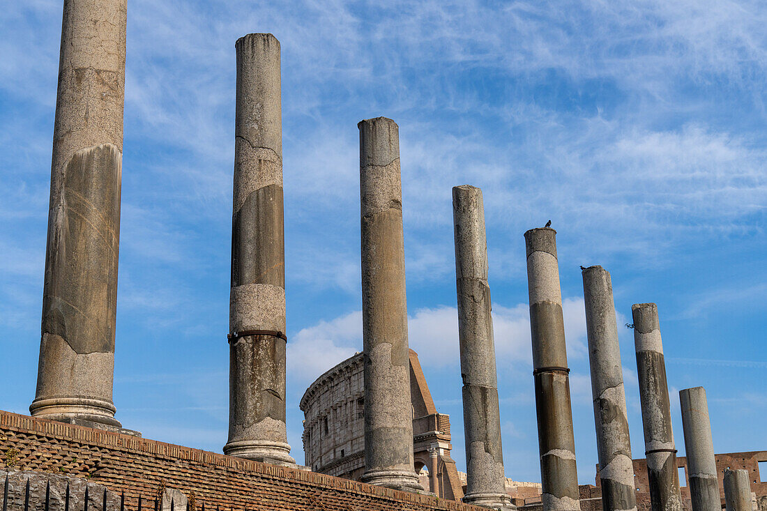 Römische Säulen entlang der Via Sacra im archäologischen Park des Kolosseums, dahinter das Kolosseum in Rom, Italien.