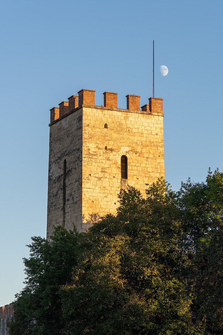 The moon rising behind a tower of the medieval city wall of Pisa, Italy.