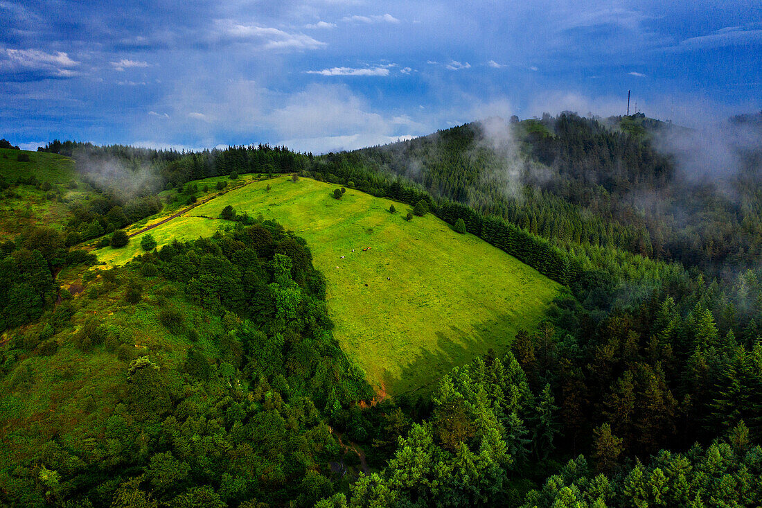 Aerial view green forest pines in Urkiola natural park Urkiolagirre meadows, Bizkaia, Euskadi, Basque Country Spain