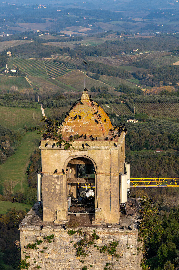 Ein Schwarm Nebelkrähen auf dem Torre Rognosa oder Rognosa-Turm in der mittelalterlichen Stadt San Gimignano, Italien.