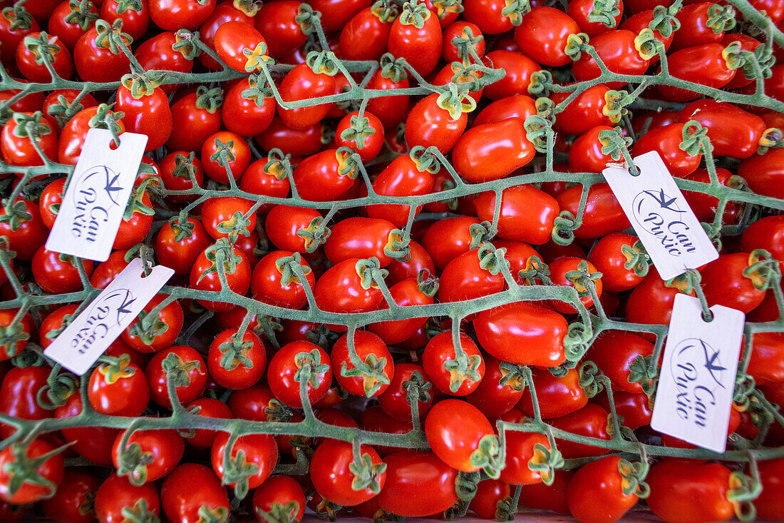 Catalonian local farmers wholesale sale section in Mercabarna Fruit and Vegetable section, in Mercabarna. Barcelona´s Central Markets. Barcelona. Spain