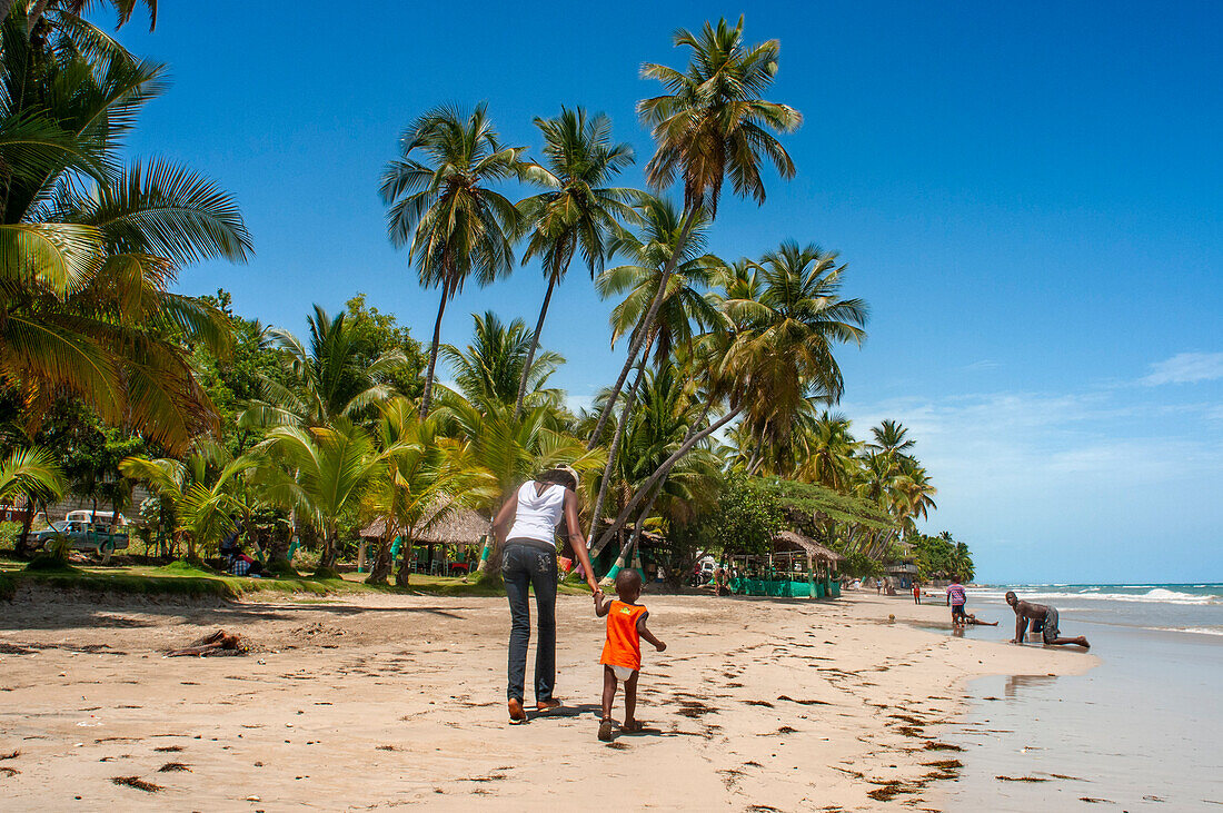 Palmen am Strand Plage de Ti Mouillage in Cayes-de-Jacmel, Cayes de Jacmel, Jacmel, Haiti.