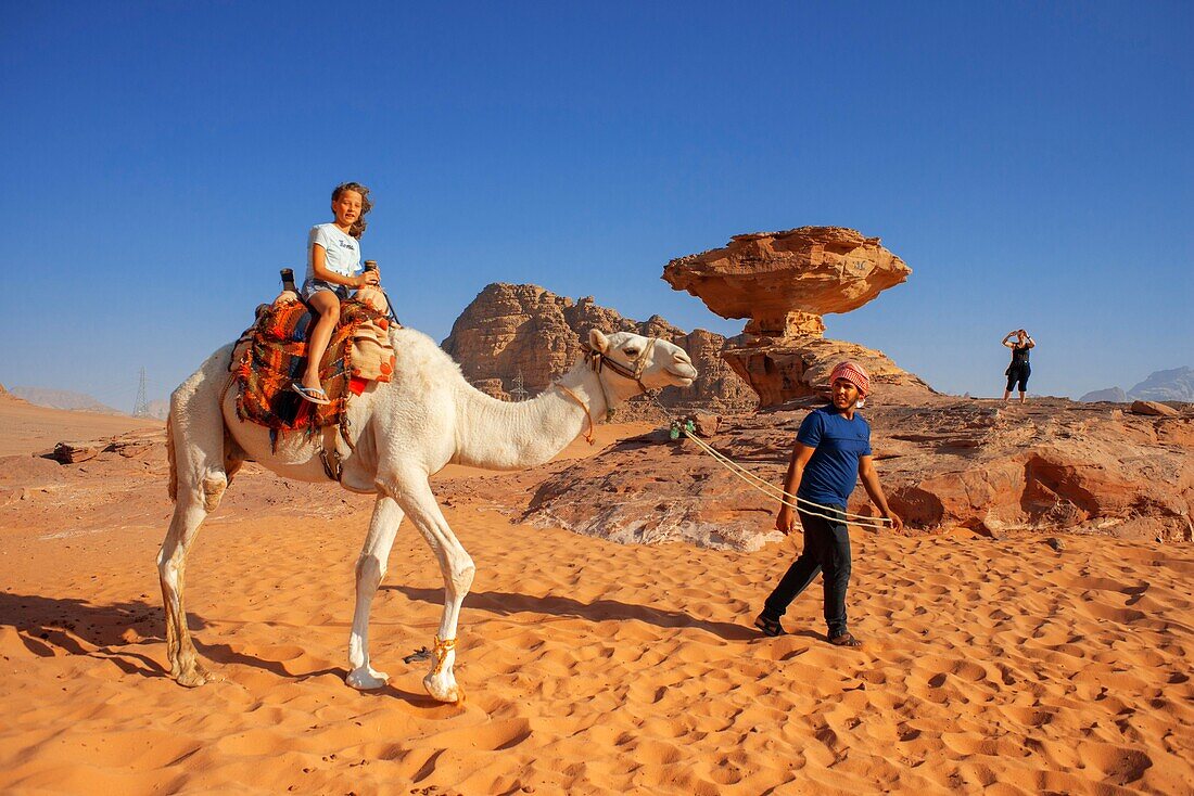 Touristenmädchen auf einem Kamel vor dem Pilzfelsen in Al Fetra Wadi Rum, Jordanien