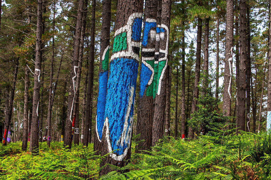 Oma Forest is a work of art by Agustin Ibarrola, a Basque sculptor and painter, in the natural reserve of Urdaibai, Oma, Vizcaya, Basque country Euskadi, Spain