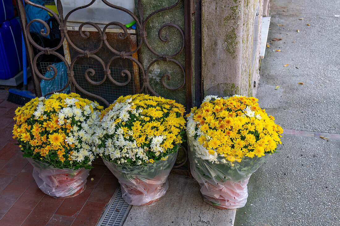 Schnittblumen auf einer Türschwelle in Anacapri auf der Insel Capri, Italien.