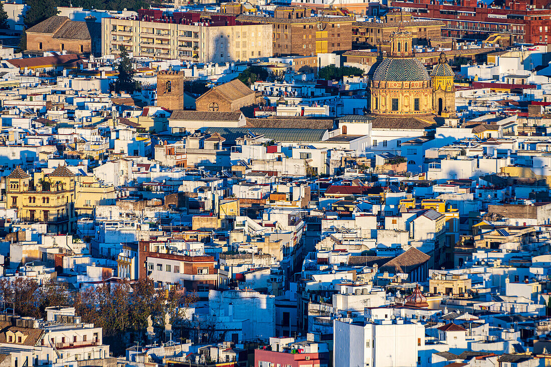 Discover the vibrant center of Seville with its historic churches and unique architecture capturing the essence of Spanish culture.