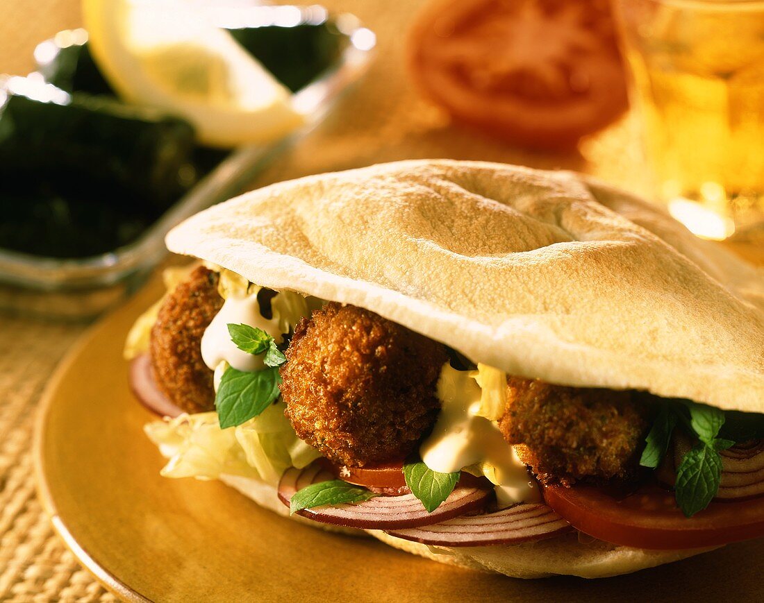 Falafel sandwich (chick-pea balls and vegetables in bread)