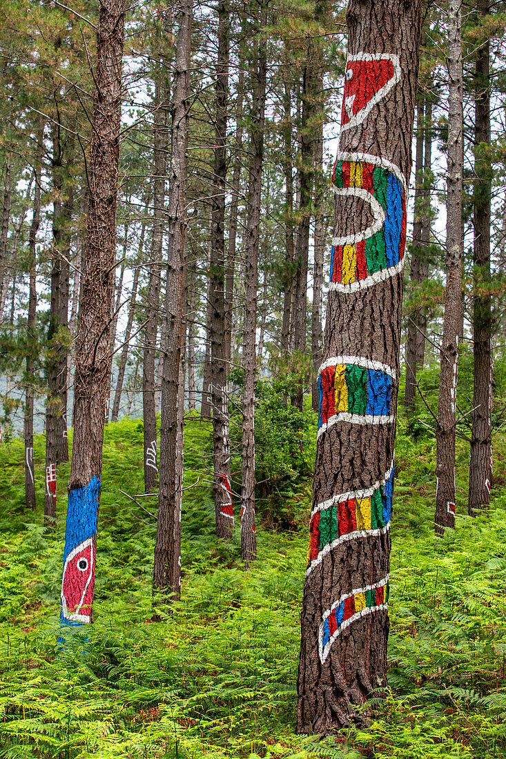 Oma Forest is a work of art by Agustin Ibarrola, a Basque sculptor and painter, in the natural reserve of Urdaibai, Oma, Vizcaya, Basque country Euskadi, Spain