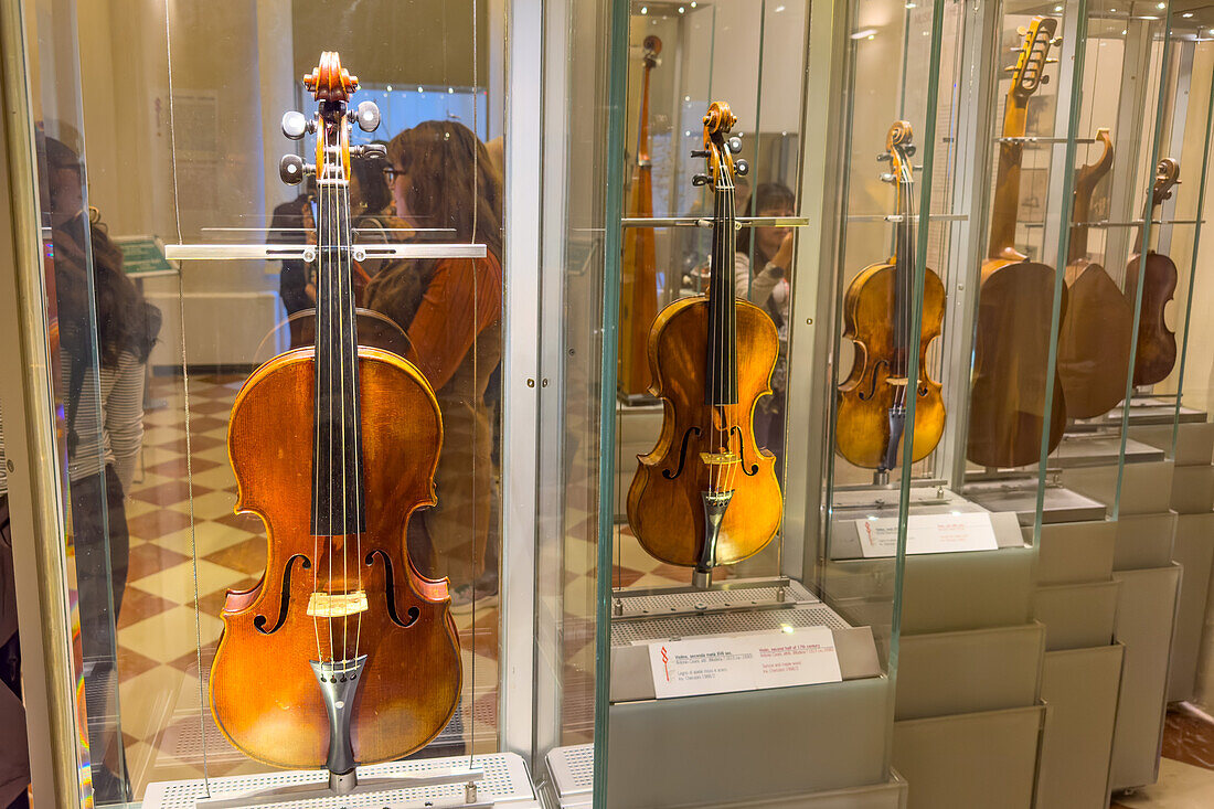 A collection of violins in the Accademia Gallery in Florence, Italy. A 1716 Antonio Stradivariis at left.