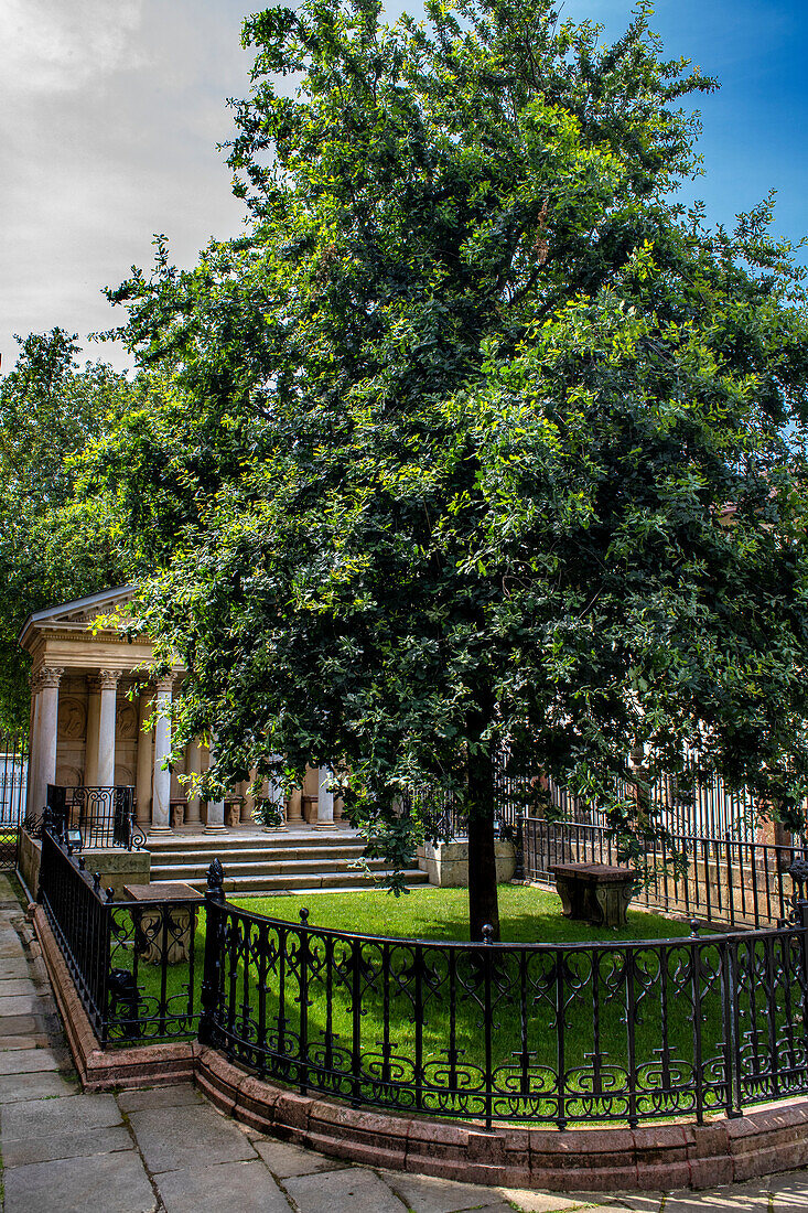 The oak tree is the symbol of Basque freedom, The Tree of Gernika outside the Assembly House Casa de las Juntas, Gernika Guernica, Bizkaia, Basque Country, Spain