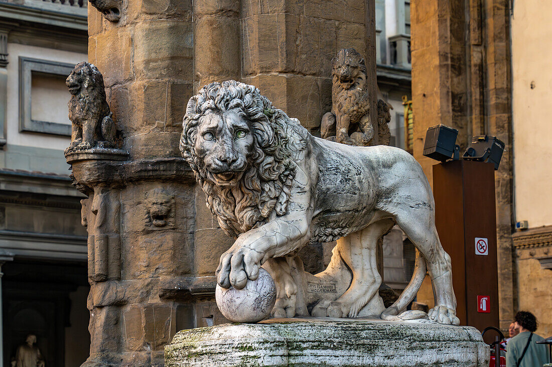 Statue of a Medici Lion in the Piazza della Signoria, Florence, Italy. This lion was a 2nd Century Roman bas relief sculpture that was cut out and reworked during the Renaissance.