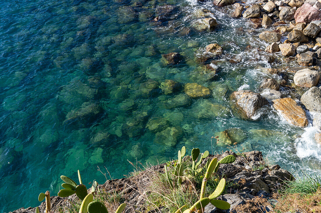 Das klare Wasser des Lingurischen Meeres auf den Felsen bei Monterosso al Mare, Cinque Terre, Italien.