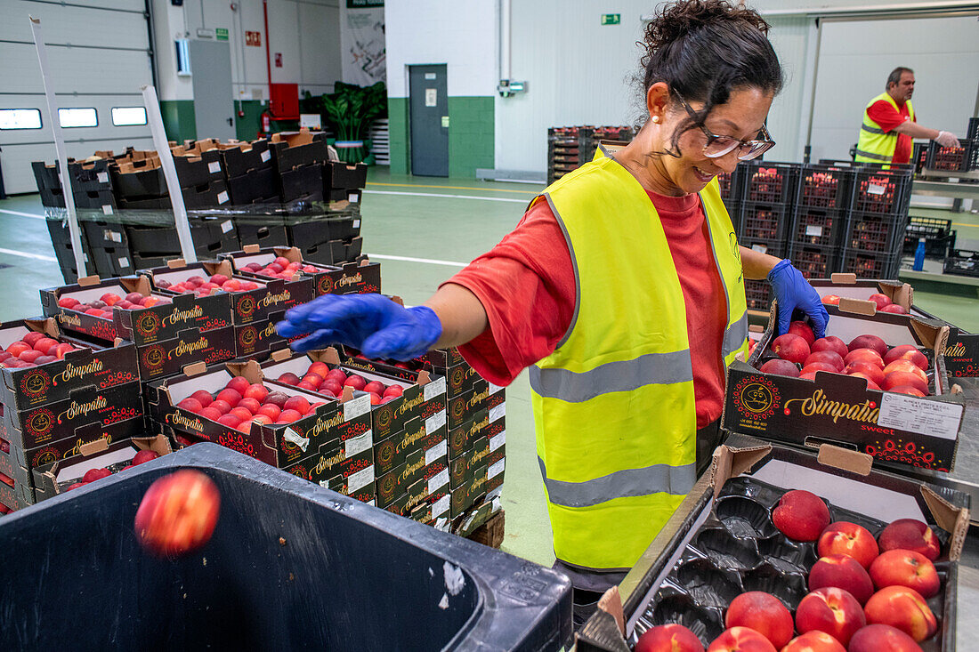 Mercabarna foodback Kreislaufwirtschaft. Abteilung für Obst und Gemüse, in Mercabarna. Zentrale Märkte von Barcelona. Barcelona. Spanien.