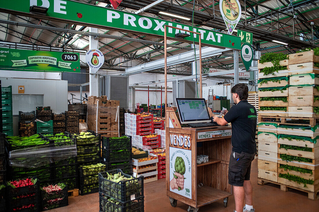 Local production, Fruit and Vegetable section, in Mercabarna. Barcelona´s Central Markets. Barcelona. Spain