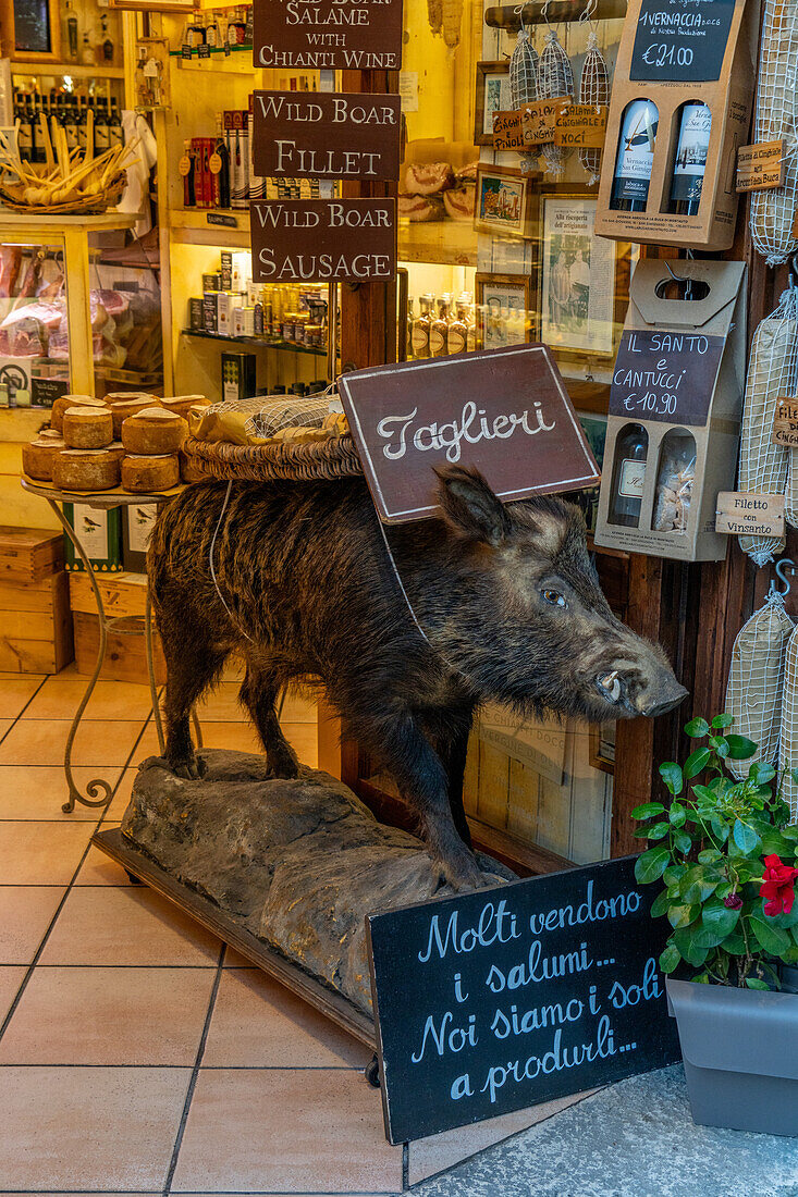 A stuffed boar in front of a shop selling wild boar meat in the medieval city of San Gimignano, Italy.