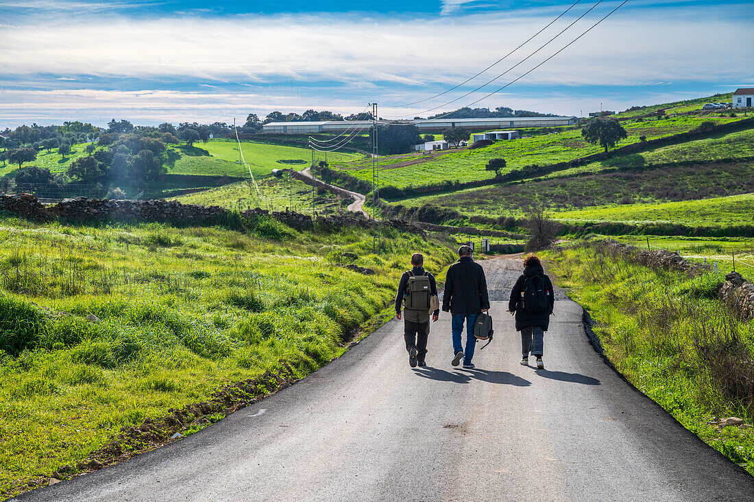 Spaziergänger auf einer malerischen Landstraße mit grüner Landschaft in Alosno, Spanien