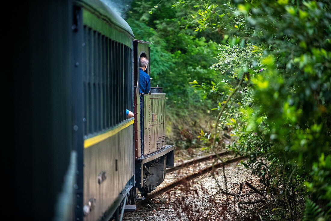 Alter Dampfzugwagen von Azpeitia im Baskischen Eisenbahnmuseum, einem der bedeutendsten seiner Art in Europa. Eisenbahngeschichte von Euskadi in Azpeitia, Gipuzkoa, Euskadi, Baskenland, Spanien.