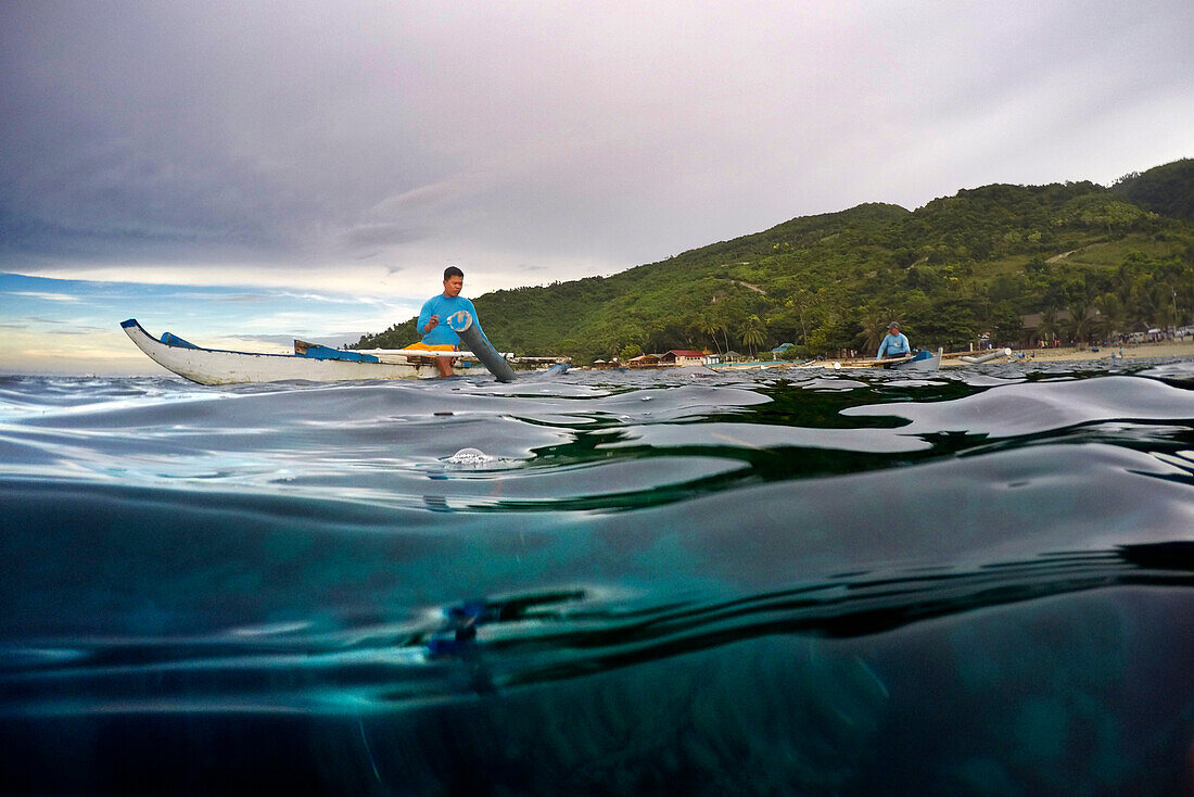 Einheimische füttern die Walhaie Rhincodon Typus in Oslob Cebu, Central Visayas, Philippinen.