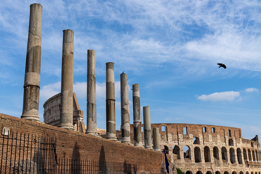 Roman columns along the Via Sacra in the Colosseum Archaeological Park with the Colosseum behind in Rome, Italy.