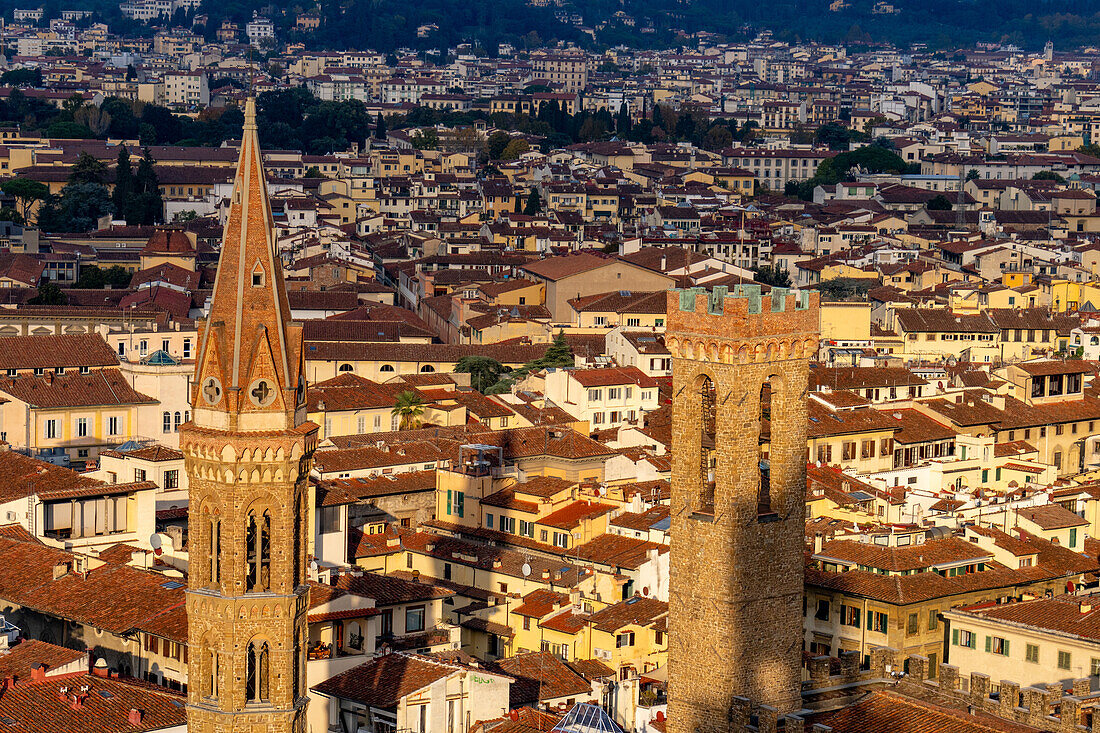 View of the towers of the Badia Fiorentina & Palazzo del Bargello seen from the Palazzo Vecchio tower in Florence, Italy.