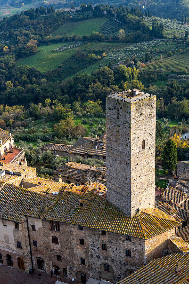 Der Torre dei Becci überblickt die Piazza della Cisterna in der mittelalterlichen Stadt San Gimignano, Italien. Die Spitze des Turms ist mit einer Schar von Nebelkrähen (Corvus cornix) bedeckt.