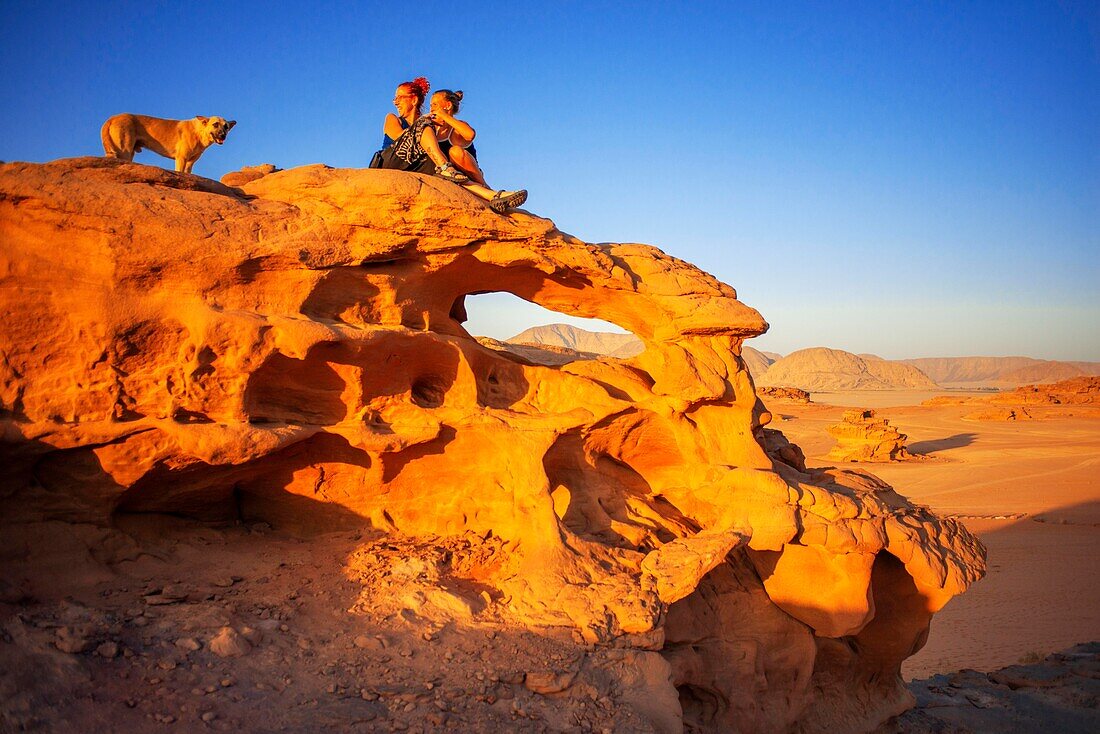 Tourist with a dog looking over the red sands of the desert of Wadi Rum in the sunset time, Jordan