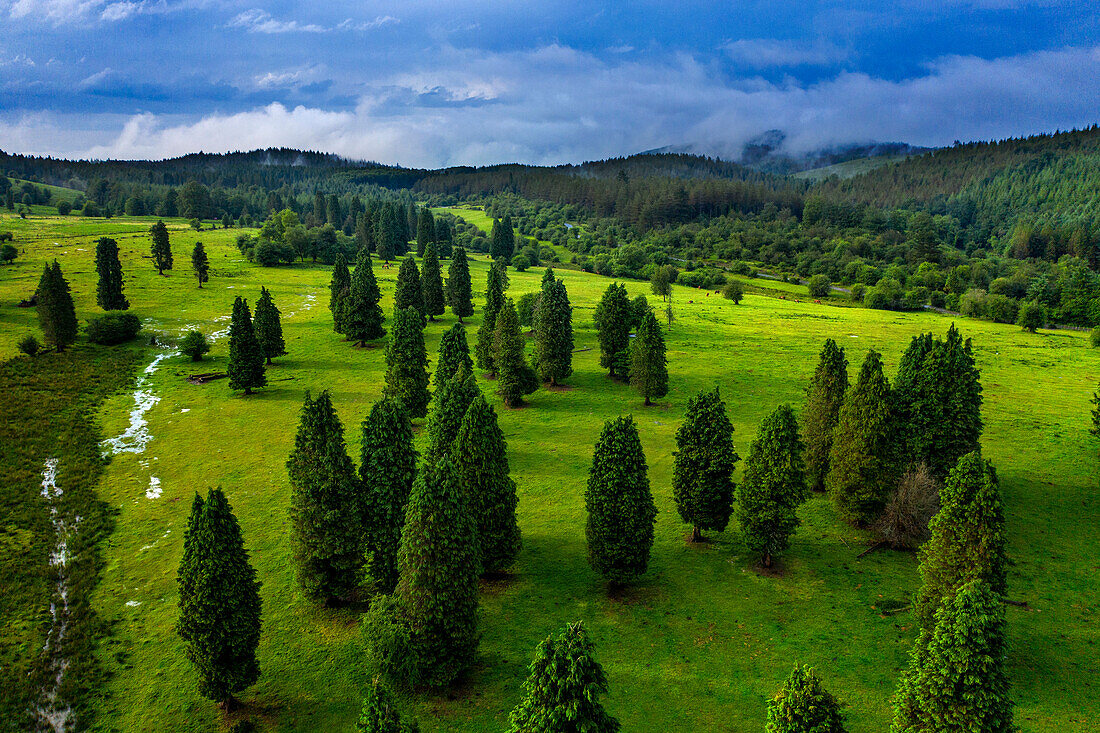 Aerial view green forest pines in Urkiola natural park Urkiolagirre meadows, Bizkaia, Euskadi, Basque Country Spain