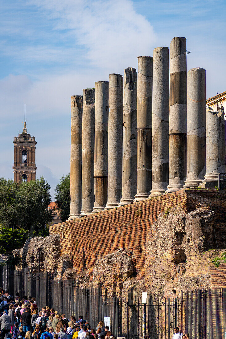 Roman columns along the Via Sacra in the Colosseum Archaeological Park with the Palazzo Senatorio tower in Rome, Italy.